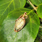 Enchanted Forest Pendant