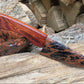 Mahogany Obsidian Dagger